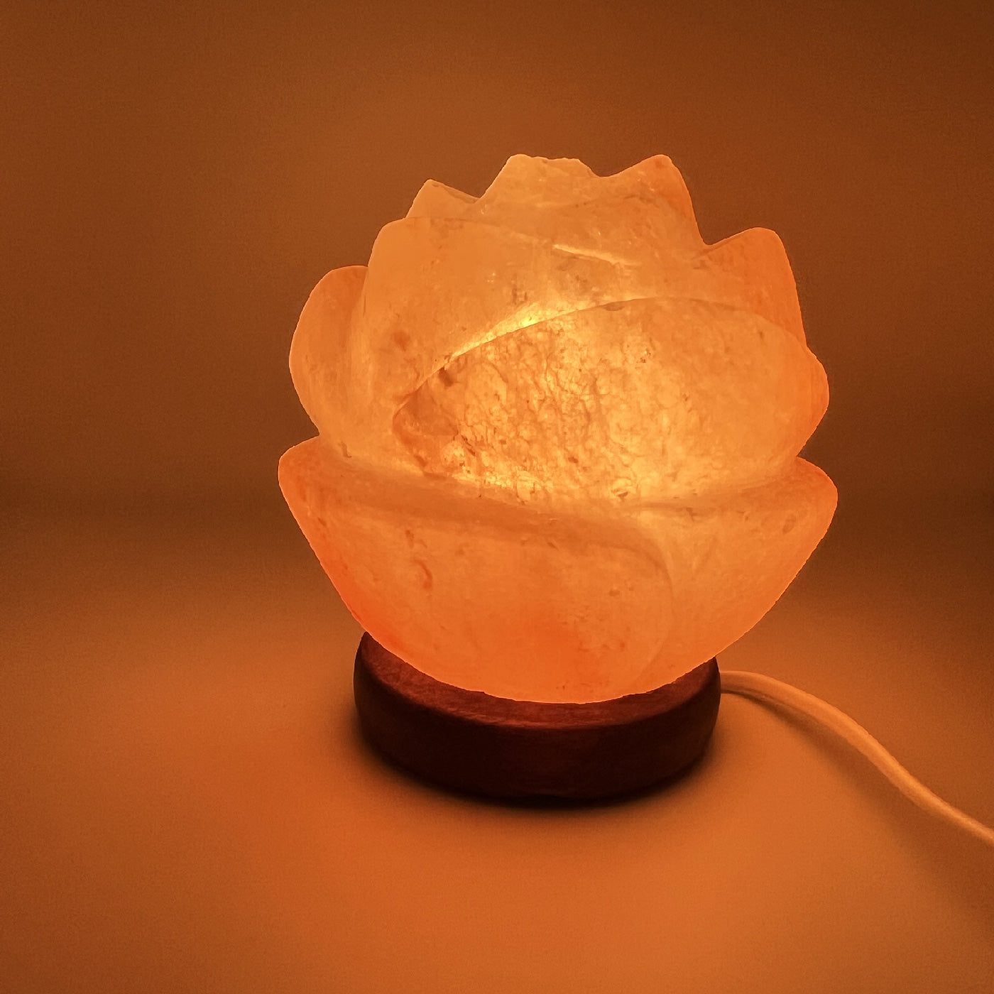 Salzlampe Rosenblüte
